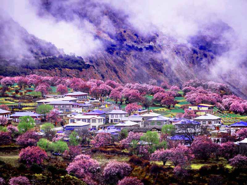 Regional Guide to China: Must-Visit Destinations Across Six Major Regions